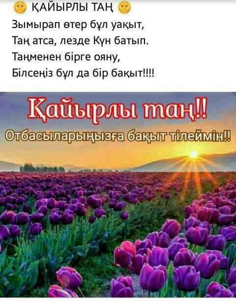 Здам квартиру